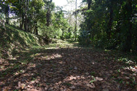 Finca La Paz: Picturesque Property for Sale in Santo Domingo de Bijagua! thumbnail