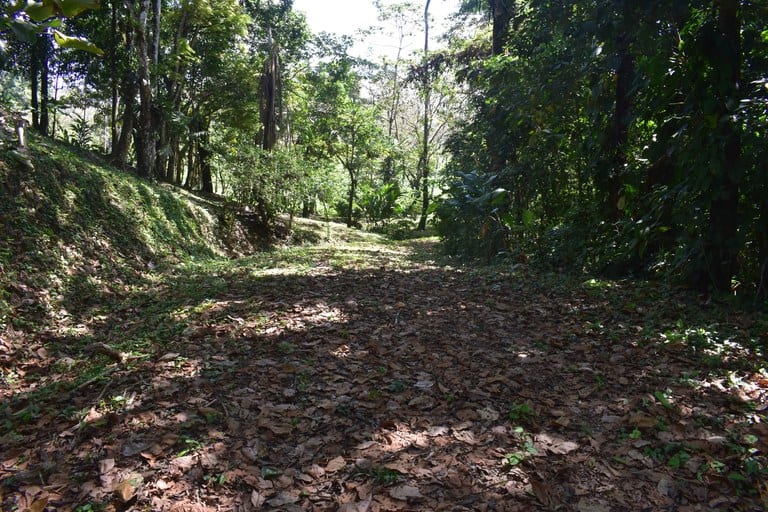 Finca La Paz: Picturesque Property for Sale in Santo Domingo de Bijagua!