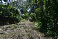 Finca La Paz: Picturesque Property for Sale in Santo Domingo de Bijagua! thumbnail