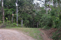 Finca La Paz: Picturesque Property for Sale in Santo Domingo de Bijagua! thumbnail