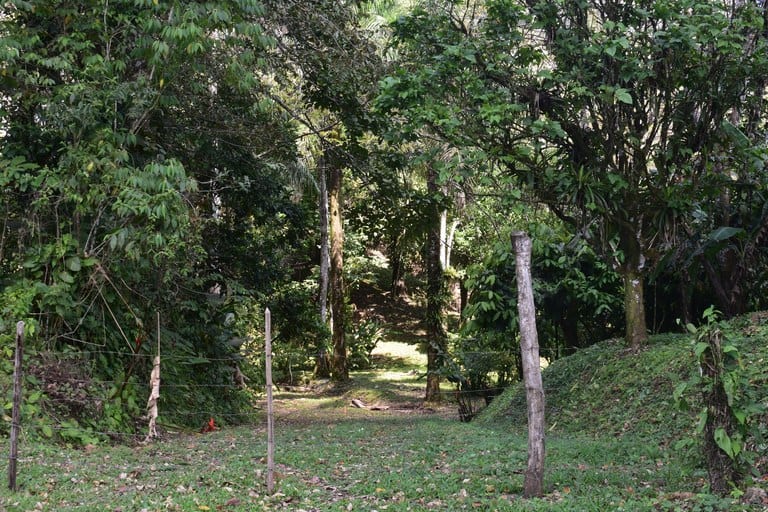 Finca La Paz: Picturesque Property for Sale in Santo Domingo de Bijagua!