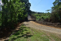 Finca La Paz: Picturesque Property for Sale in Santo Domingo de Bijagua! thumbnail