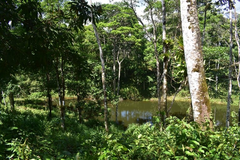 Finca La Paz: Picturesque Property for Sale in Santo Domingo de Bijagua!