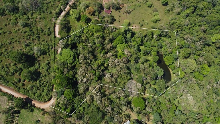 Finca La Paz: Picturesque Property for Sale in Santo Domingo de Bijagua!