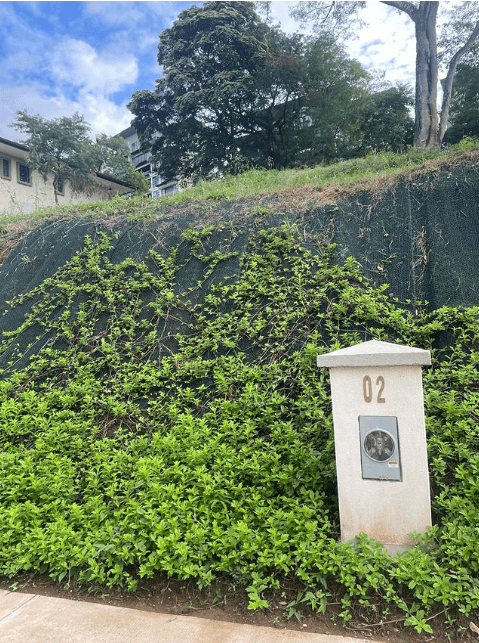 Sauco Lot #2 – Prime Homesite Opportunity in Reserva Conchal