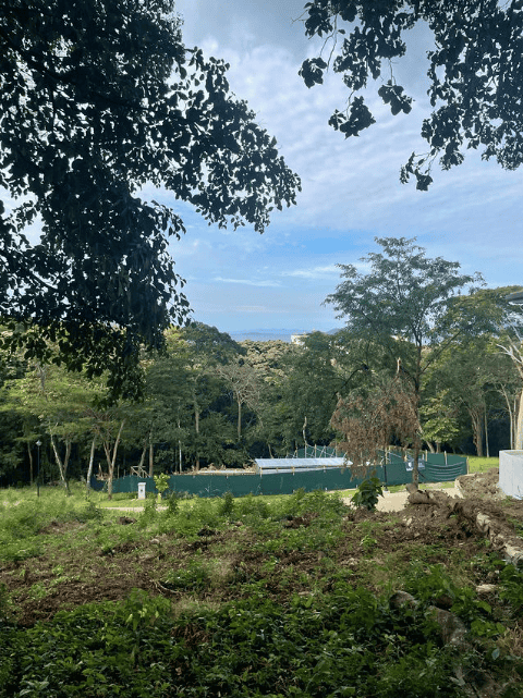 Sauco Lot #2 – Prime Homesite Opportunity in Reserva Conchal