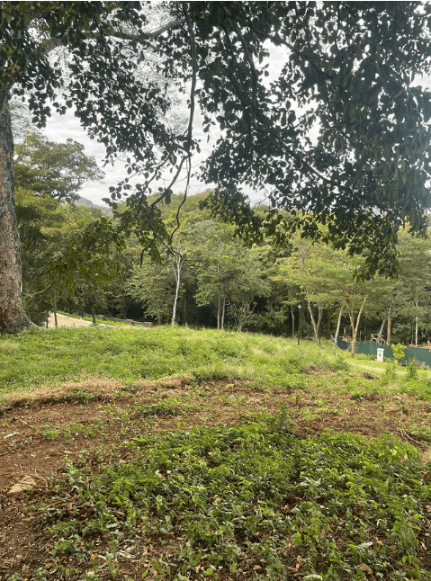 Sauco Lot #2 – Prime Homesite Opportunity in Reserva Conchal