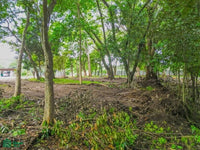 Playa Potrero Homesite – Prime Land Opportunity Near Costa Rica’s Pacific Coast thumbnail