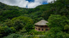 Amatierra: A Wellness Sanctuary and Eco-Retreat thumbnail
