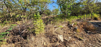 Large Lot by The Beach thumbnail