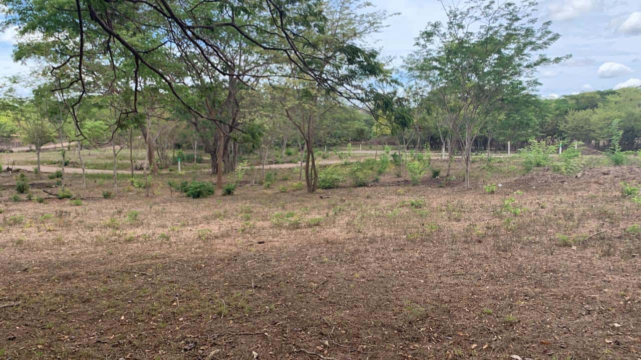 Lot 5 – Matapalo Springs