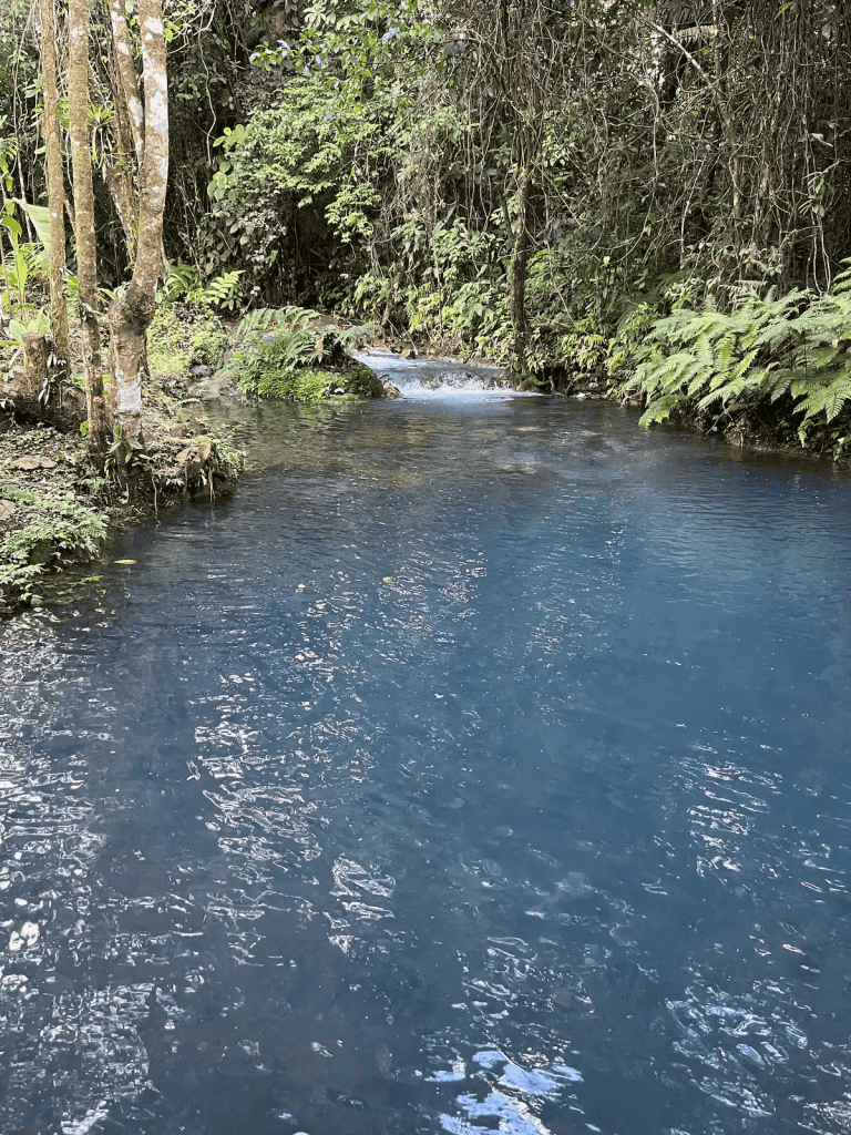 Hot Springs & Mineral River Lodge - 25 Hectares of Land Upala, Alajuela Province