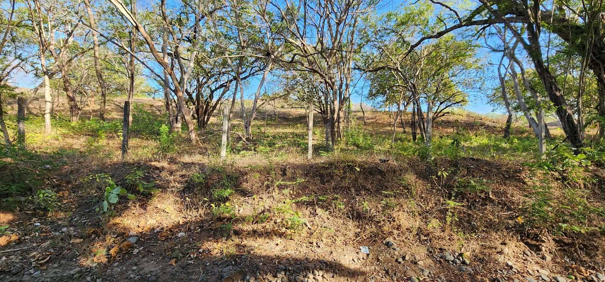 Large Lot by The Beach