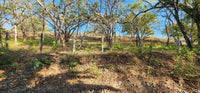 Large Lot by The Beach thumbnail
