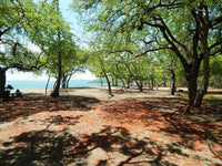 Hacienda Del Mar Development Parcel 25 thumbnail