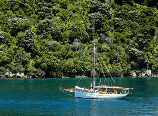 Casa Chameleon Condominiums A-501, Serene Above Las Catalinas on Costa Ricas Pacific Coast