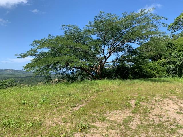 Lot 36 Double Terrace Beautiful Building Lot: Building Paradise on Double Terrace - Lot 36