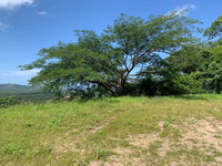 Lot 36 Double Terrace Beautiful Building Lot: Building Paradise on Double Terrace - Lot 36 thumbnail