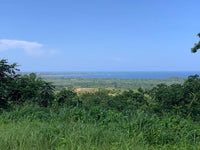 Lot 36 Double Terrace Beautiful Building Lot: Building Paradise on Double Terrace - Lot 36 thumbnail