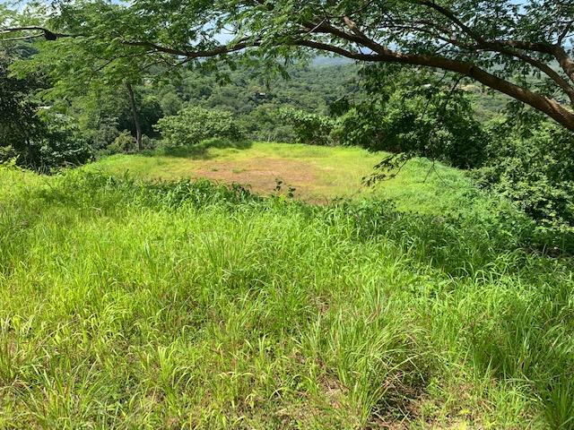 Lot 36 Double Terrace Beautiful Building Lot: Building Paradise on Double Terrace - Lot 36