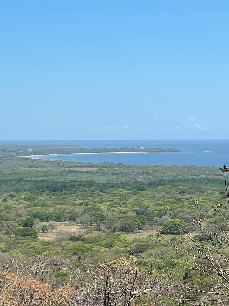 Lot 27 Almendro Hills: Almendro Hills Oasis - Lot 27