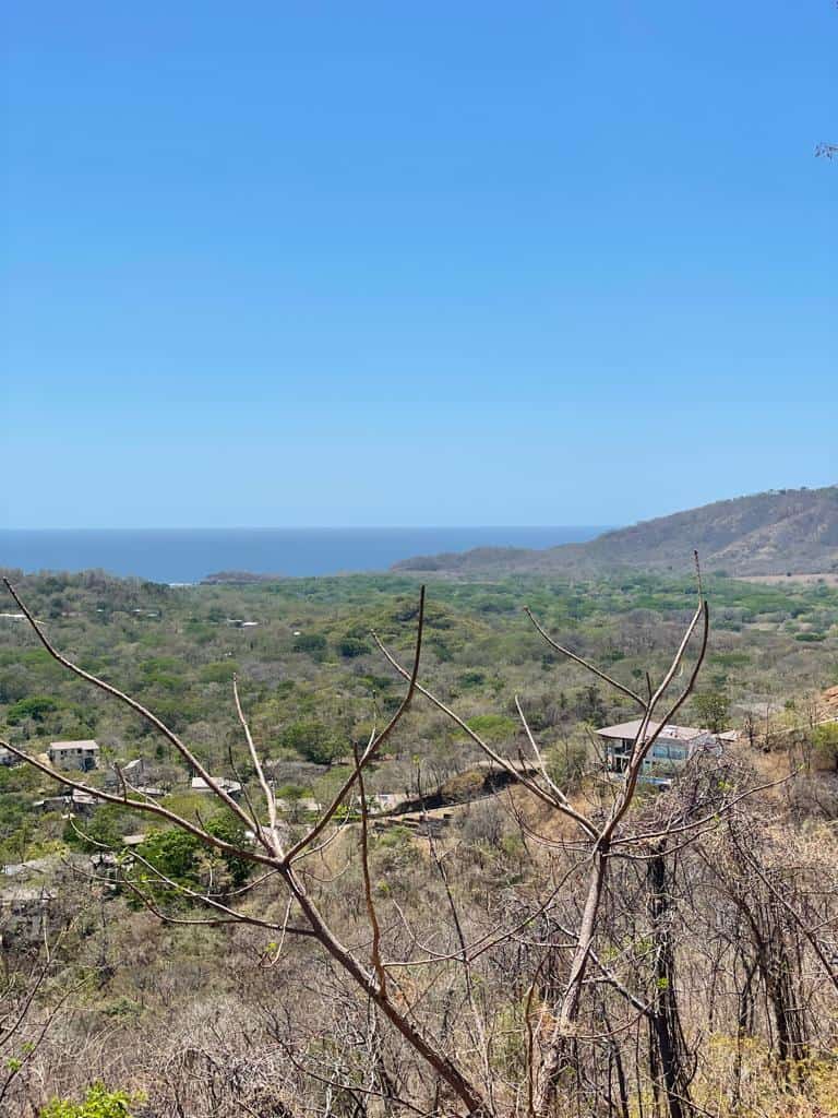 Lot 27 Almendro Hills: Almendro Hills Oasis - Lot 27