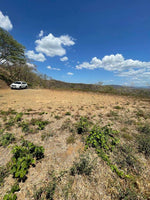 Lot 27 Almendro Hills: Almendro Hills Oasis - Lot 27 thumbnail
