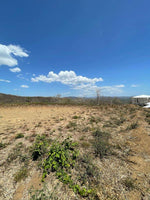 Lot 27 Almendro Hills: Almendro Hills Oasis - Lot 27 thumbnail