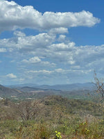 Lot 27 Almendro Hills: Almendro Hills Oasis - Lot 27 thumbnail