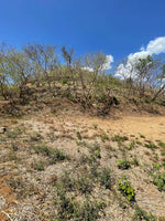 Lot 27 Almendro Hills: Almendro Hills Oasis - Lot 27 thumbnail