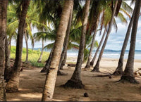 Lot for Sale in Playa Grande 5,032 Sq. Meters: Prime Lot in Playa Grande thumbnail