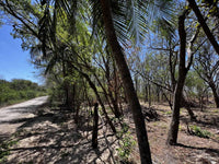 Beachfront Lot for Sale in Playa Ventanas/Playa Grande: Seaside Dreams in Playa Ventanas thumbnail