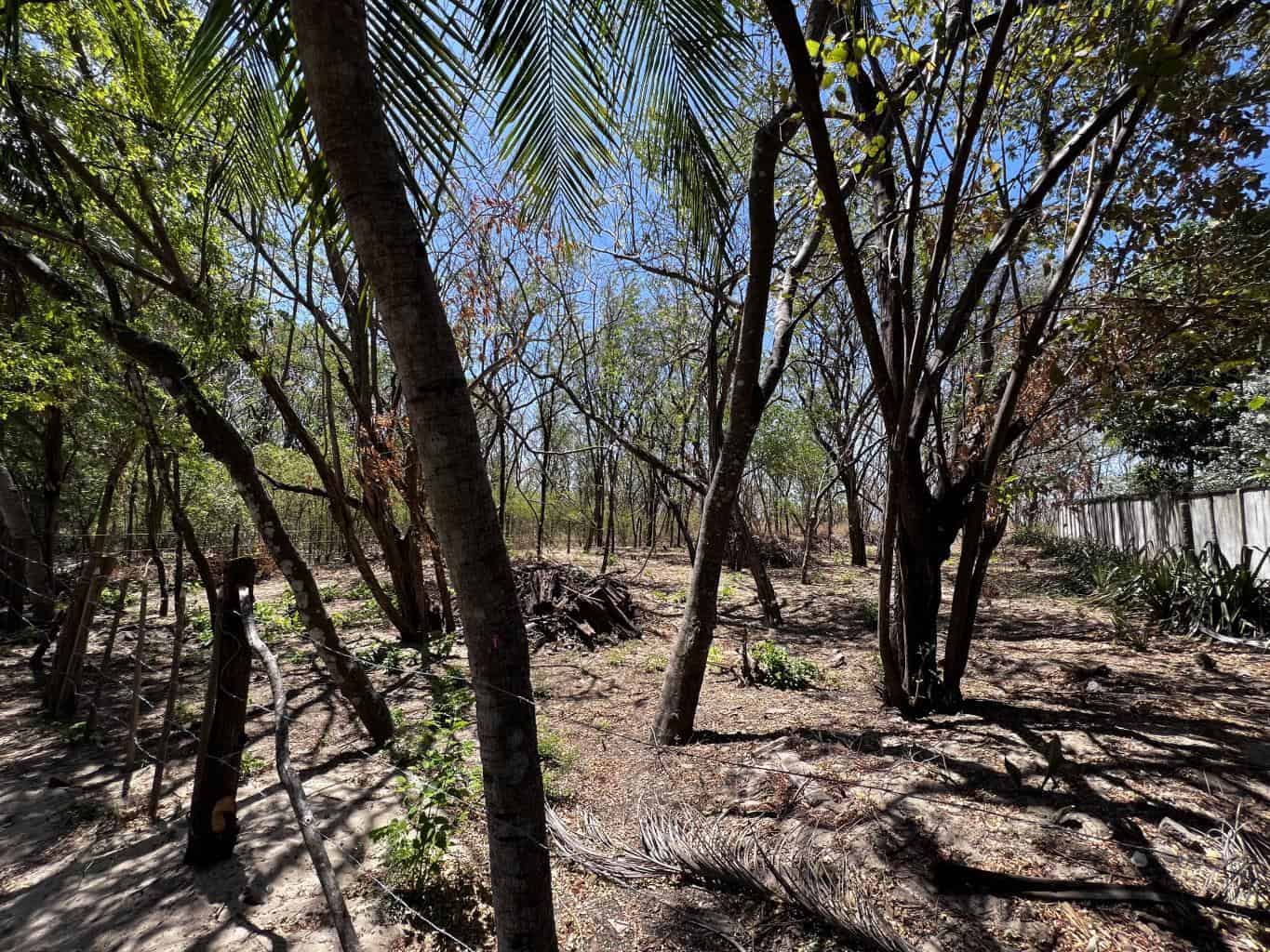 Beachfront Lot for Sale in Playa Ventanas/Playa Grande: Seaside Dreams in Playa Ventanas