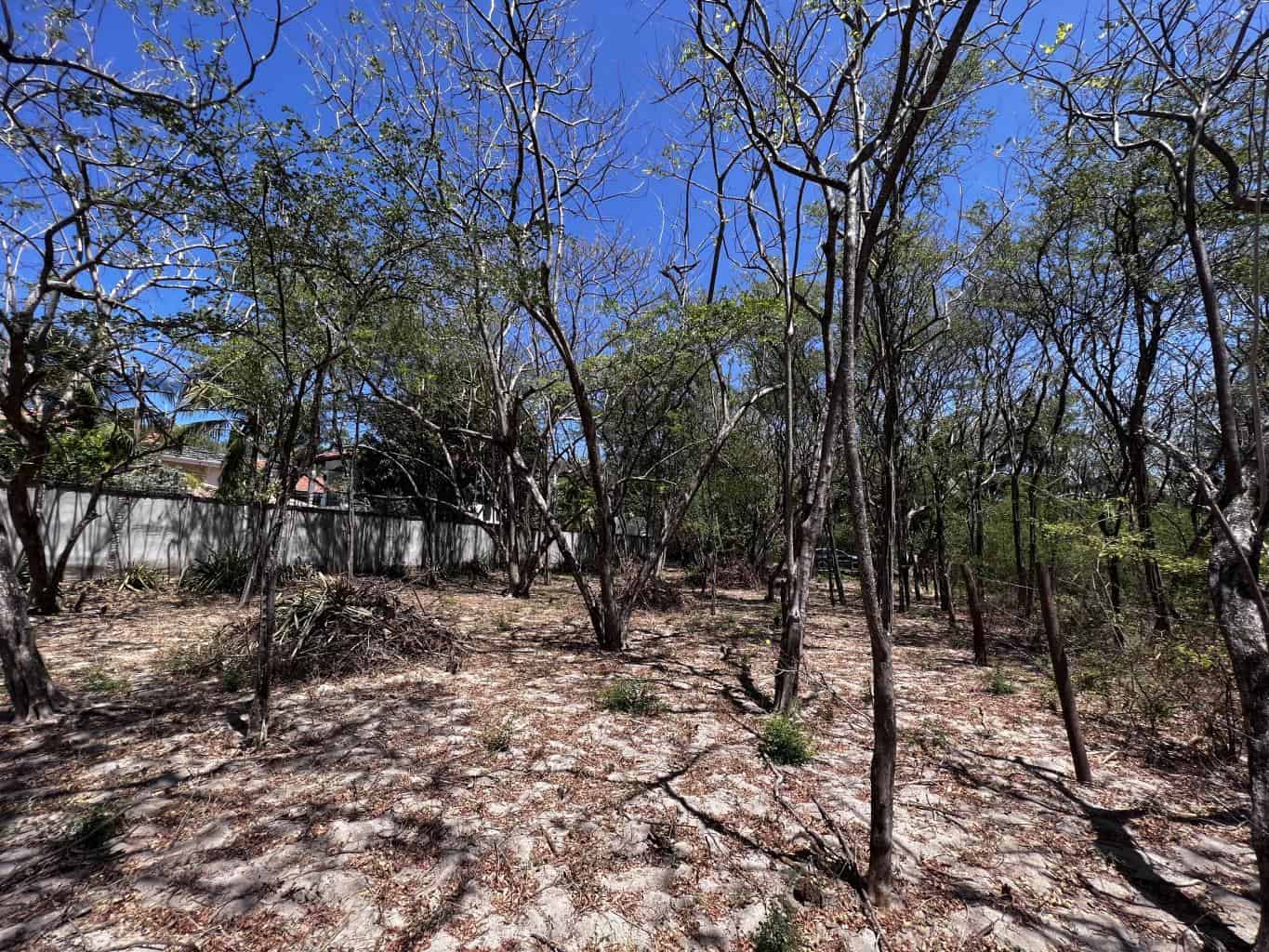 Beachfront Lot for Sale in Playa Ventanas/Playa Grande: Seaside Dreams in Playa Ventanas