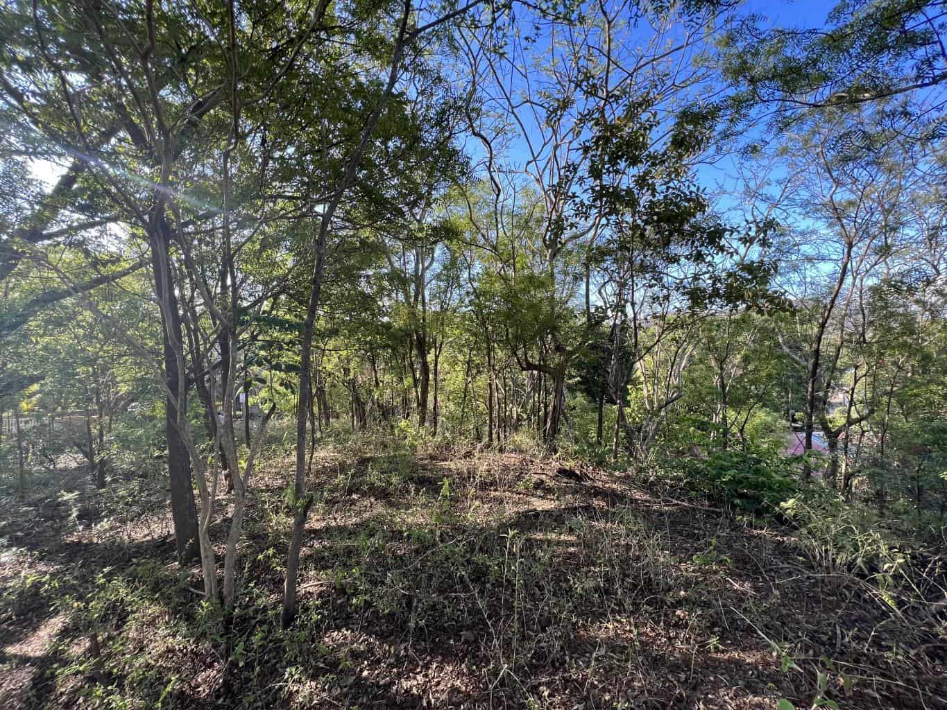 Vacant Lot in Playa Grande 1,501 Square Meters: Perfectly Located Vacant Lot