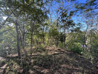 Vacant Lot in Playa Grande 1,501 Square Meters: Perfectly Located Vacant Lot thumbnail
