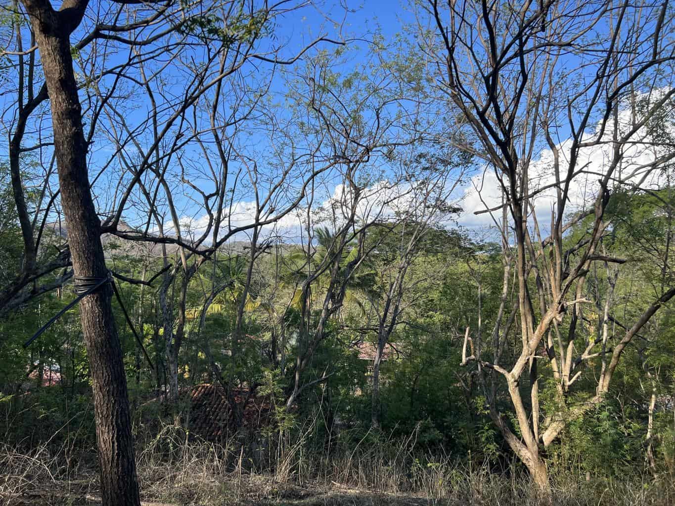 Beachfront Lot for Sale in Playa Ventanas/Playa Grande: Seaside Dreams in Playa Ventanas