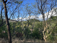 Vacant Lot in Playa Grande 1,501 Square Meters: Perfectly Located Vacant Lot thumbnail