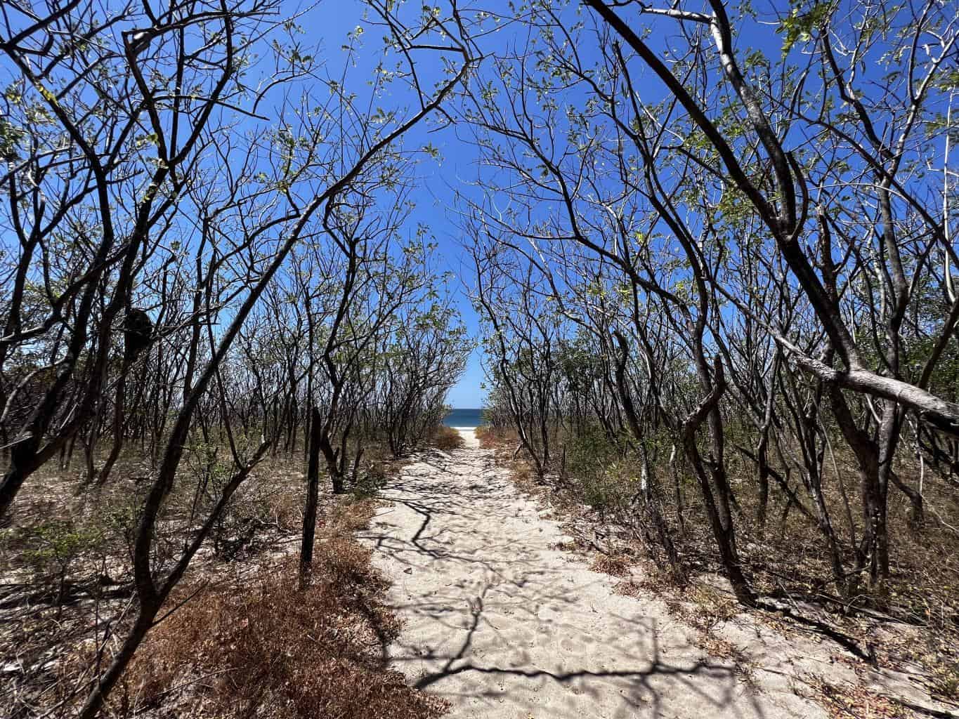Vacant Lot in Playa Grande 1,501 Square Meters: Perfectly Located Vacant Lot