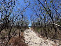 Vacant Lot in Playa Grande 1,501 Square Meters: Perfectly Located Vacant Lot thumbnail