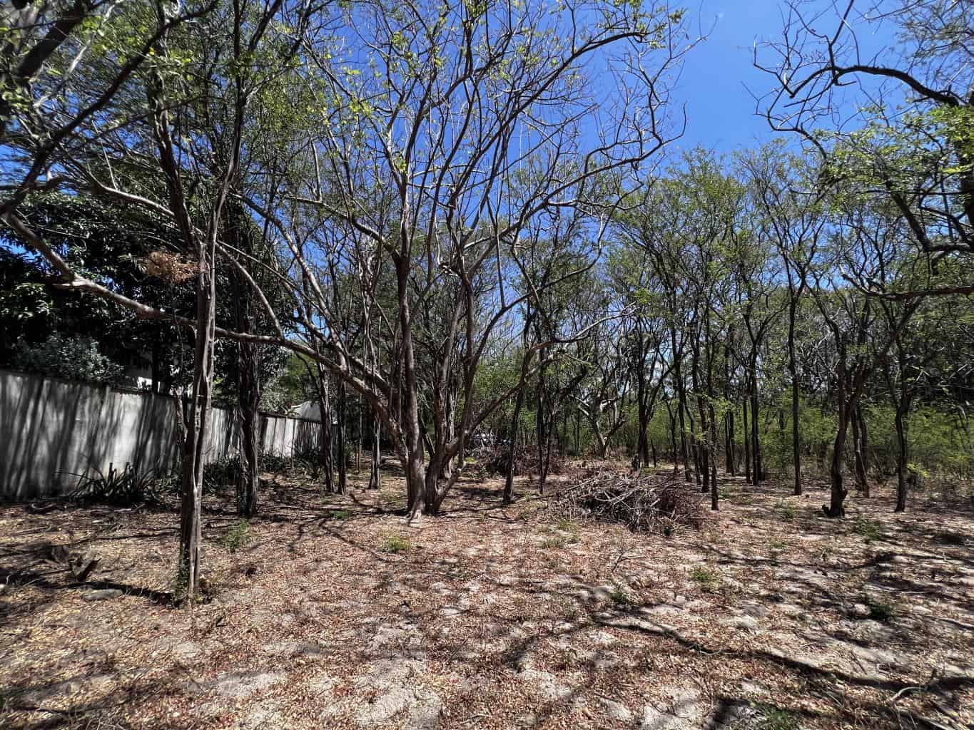 Beachfront Lot for Sale in Playa Ventanas/Playa Grande: Seaside Dreams in Playa Ventanas