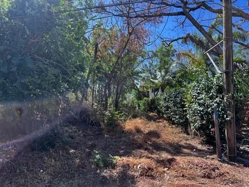 Vacant Lot in Playa Grande 1,501 Square Meters: Perfectly Located Vacant Lot