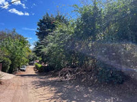 Vacant Lot in Playa Grande 1,501 Square Meters: Perfectly Located Vacant Lot thumbnail