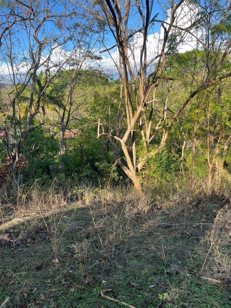 Vacant Lot in Playa Grande 1,501 Square Meters: Perfectly Located Vacant Lot