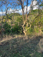 Vacant Lot in Playa Grande 1,501 Square Meters: Perfectly Located Vacant Lot thumbnail