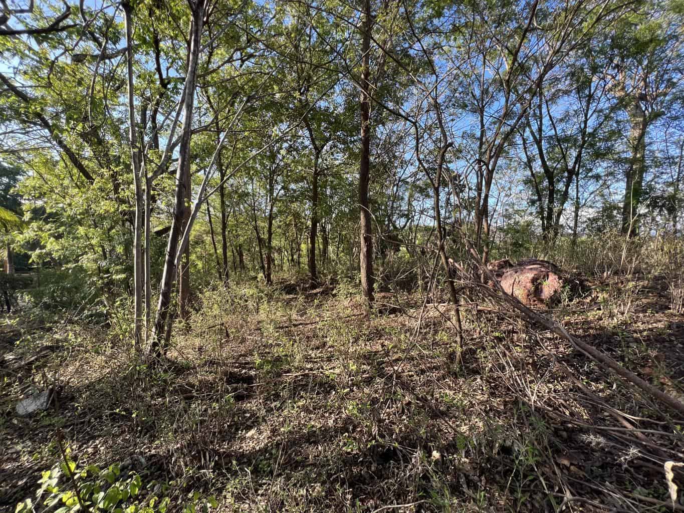 Vacant Lot in Playa Grande 1,501 Square Meters: Perfectly Located Vacant Lot