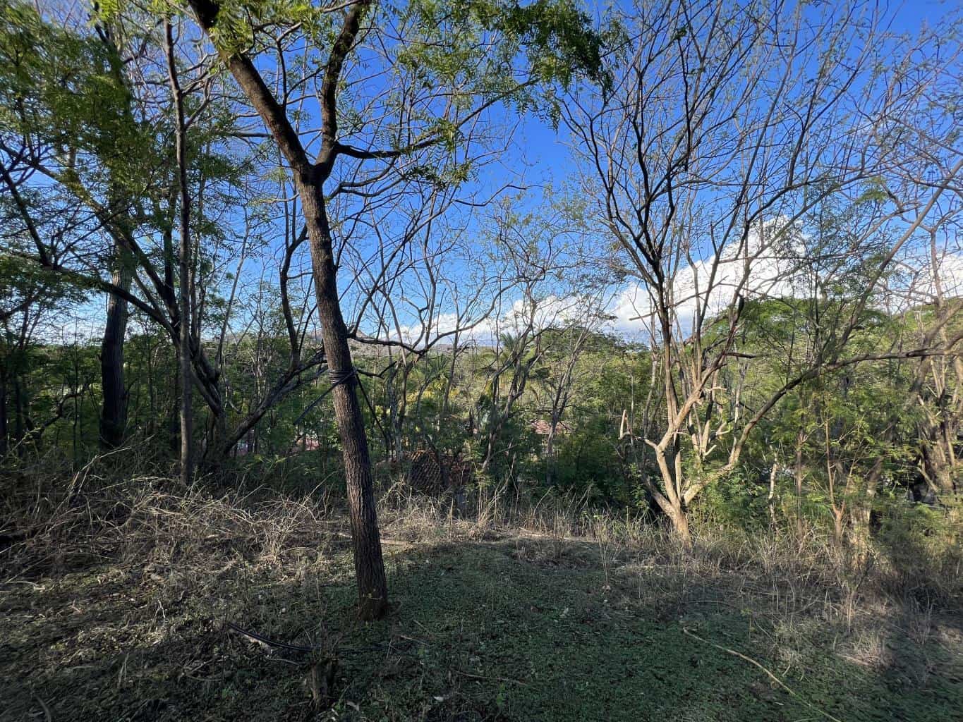 Vacant Lot in Playa Grande 1,501 Square Meters: Perfectly Located Vacant Lot