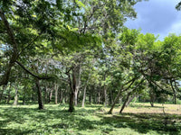 3.69 Hectares Playa Grande, Development Opportunity: Grand Development Potential in Playa Grande thumbnail