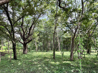 3.69 Hectares Playa Grande, Development Opportunity: Grand Development Potential in Playa Grande thumbnail