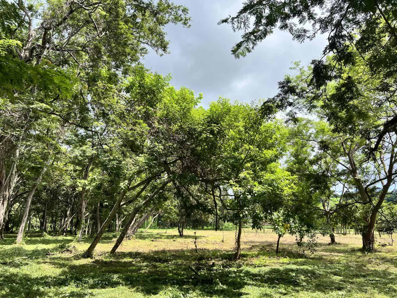 3.69 Hectares Playa Grande, Development Opportunity: Grand Development Potential in Playa Grande